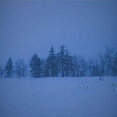 澳门精准正版资料大全app下载