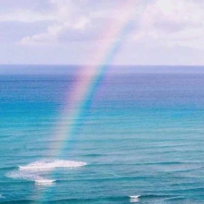 leyu·乐鱼(中国)体育