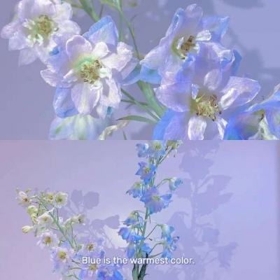 博雅.体育app手机版下载