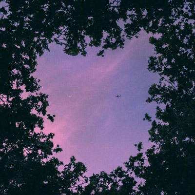 加拿大pc软件平台下载手机版