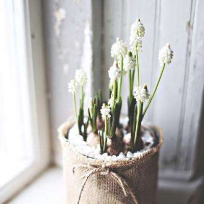 kaiyun体育全站app下载