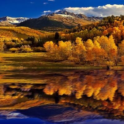 安博.体育下载手机版