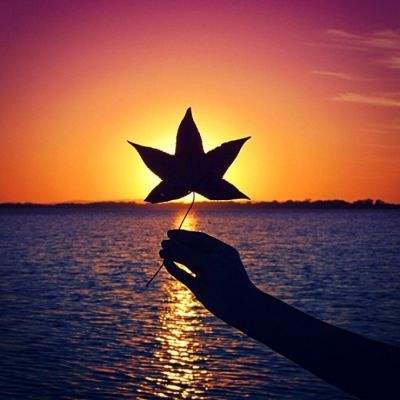 爱游戏手机app下载