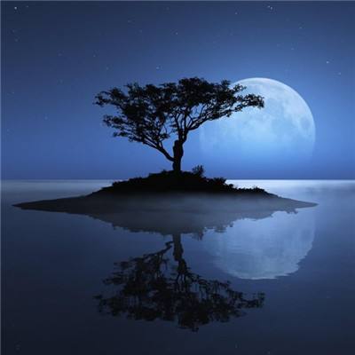 金年会体育app下载官网