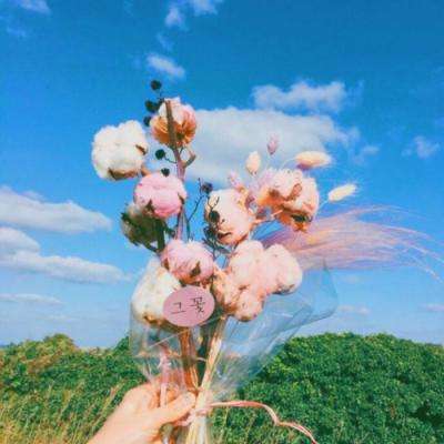 竞猜足球appapp下载