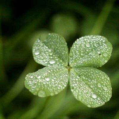 澳门2023全年免费资料大全